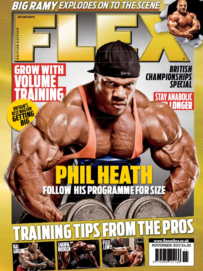 FLEX ноябрь 2013 UK