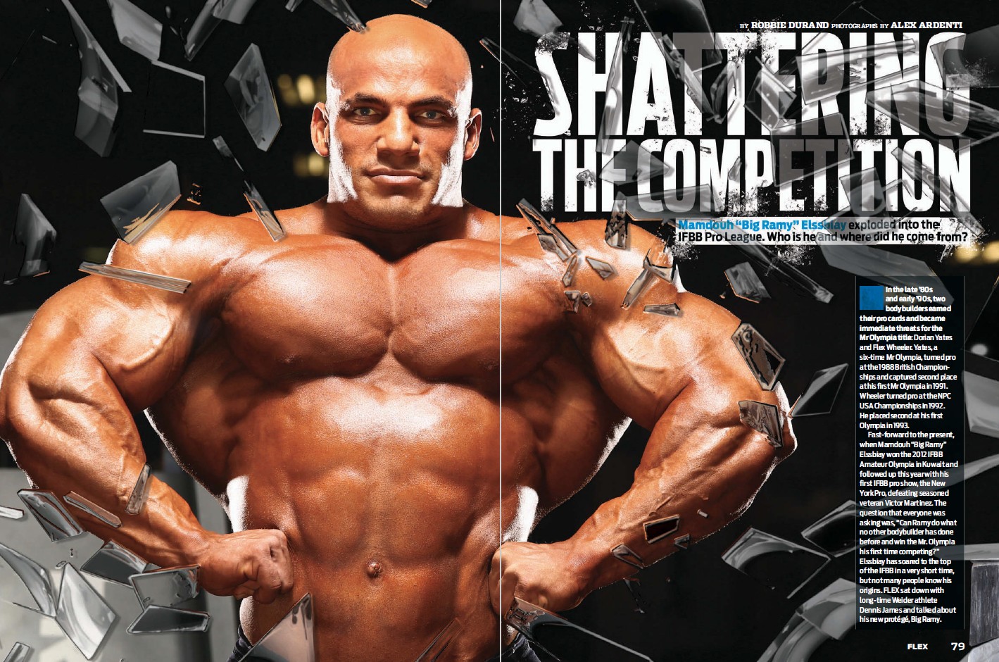 FLEX ноябрь 2013 UK