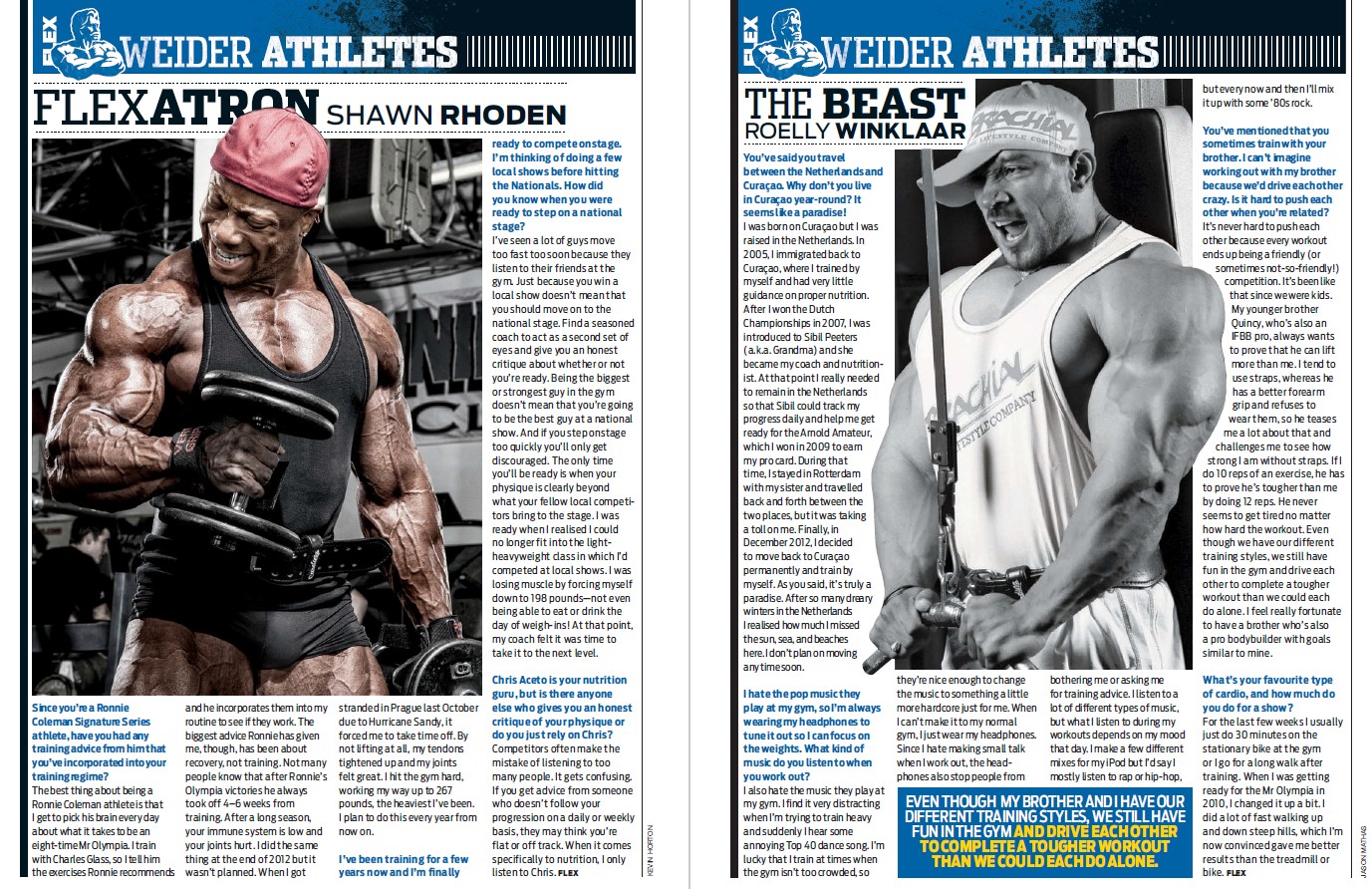 FLEX ноябрь 2013 UK