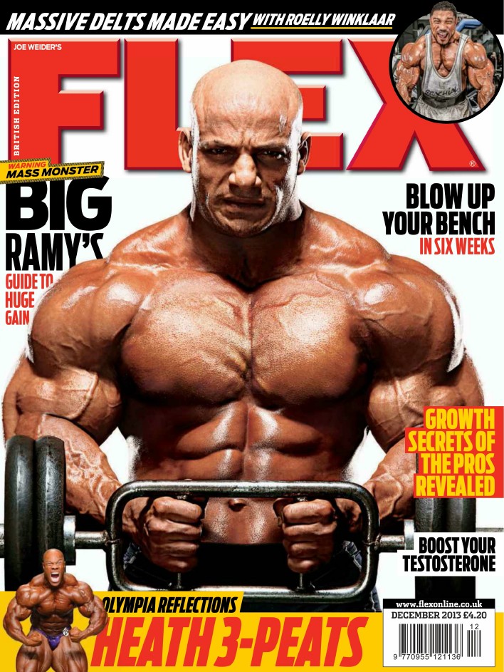 FLEX декабрь 2013 UK