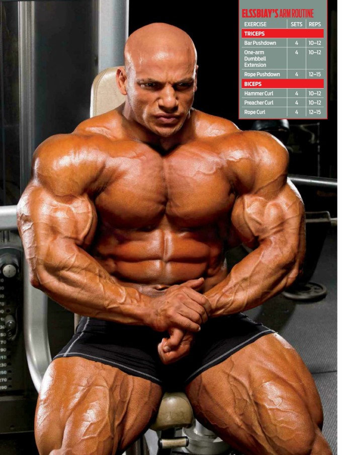 Flex