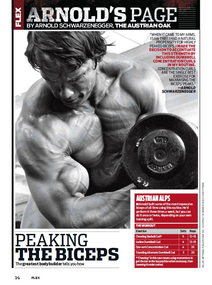 FLEX сентябрь 2013 UK