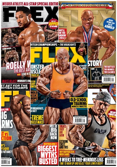 FLEX  2014 UK
