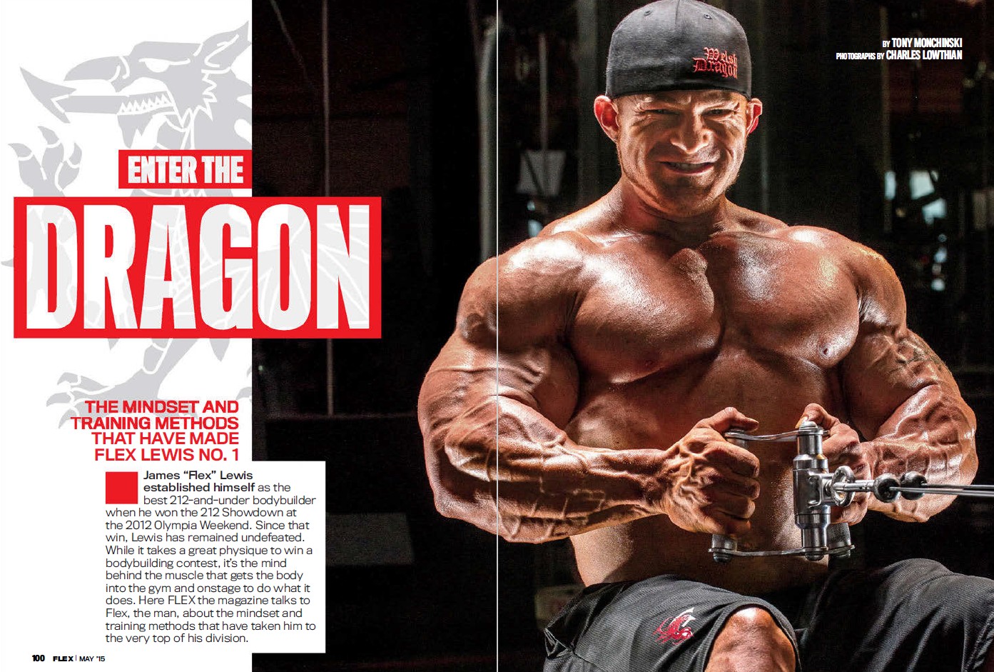 FLEX LEWIS