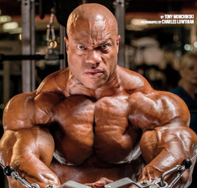 FLEX август 2015 UK