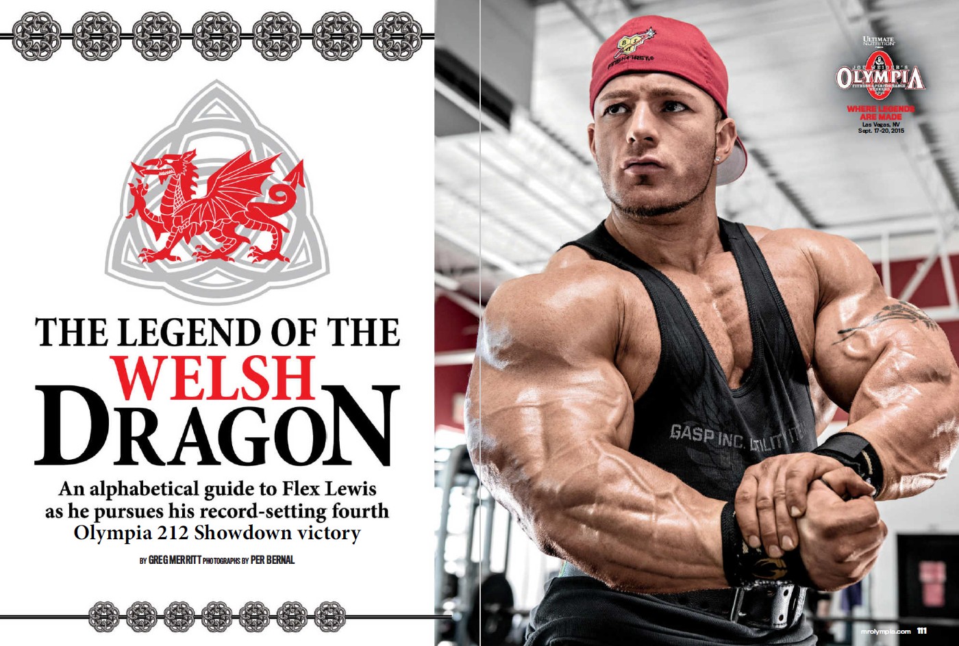 FLEX LEWIS