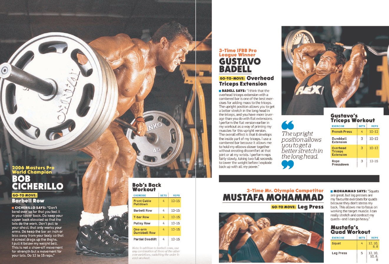Flex