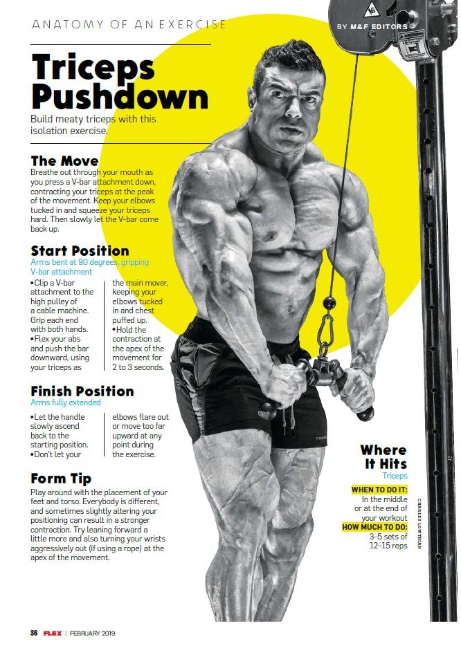 FLEX февраль 2019 UK
